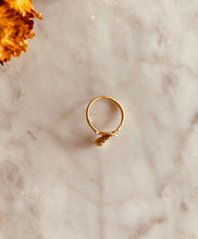 Load image into Gallery viewer, SEFORA