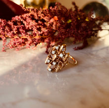 Load image into Gallery viewer, BELAFLORE