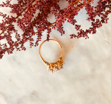 Load image into Gallery viewer, BELAFLORE