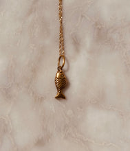 Load image into Gallery viewer, Pesce
