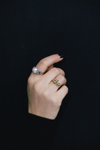 Load image into Gallery viewer, TERENZIA
