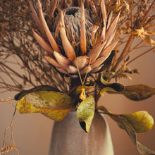 Load image into Gallery viewer, MANUFICA

