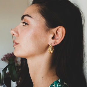 MIRTA